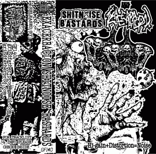 Exacerbacion : Hi-gain + Distortion = Noise